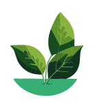 Pictogramme évaluation d'un projet carbone